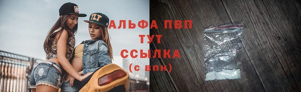сатива Пролетарск