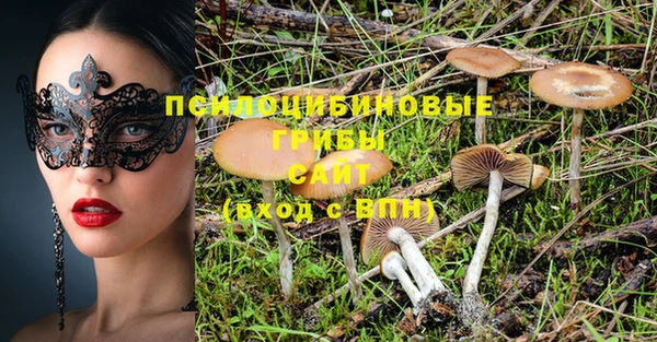 гидра Балабаново