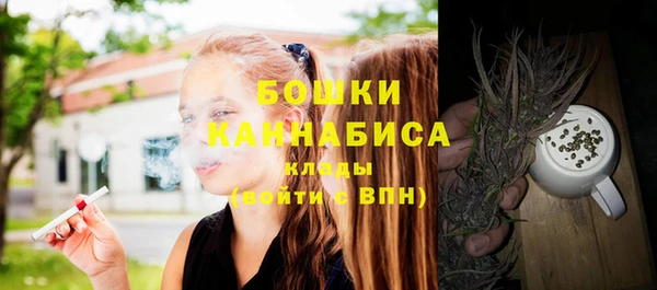 сатива Пролетарск