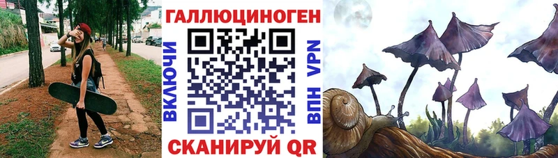 купить наркоту  Старая Купавна  Псилоцибиновые грибы GOLDEN TEACHER 
